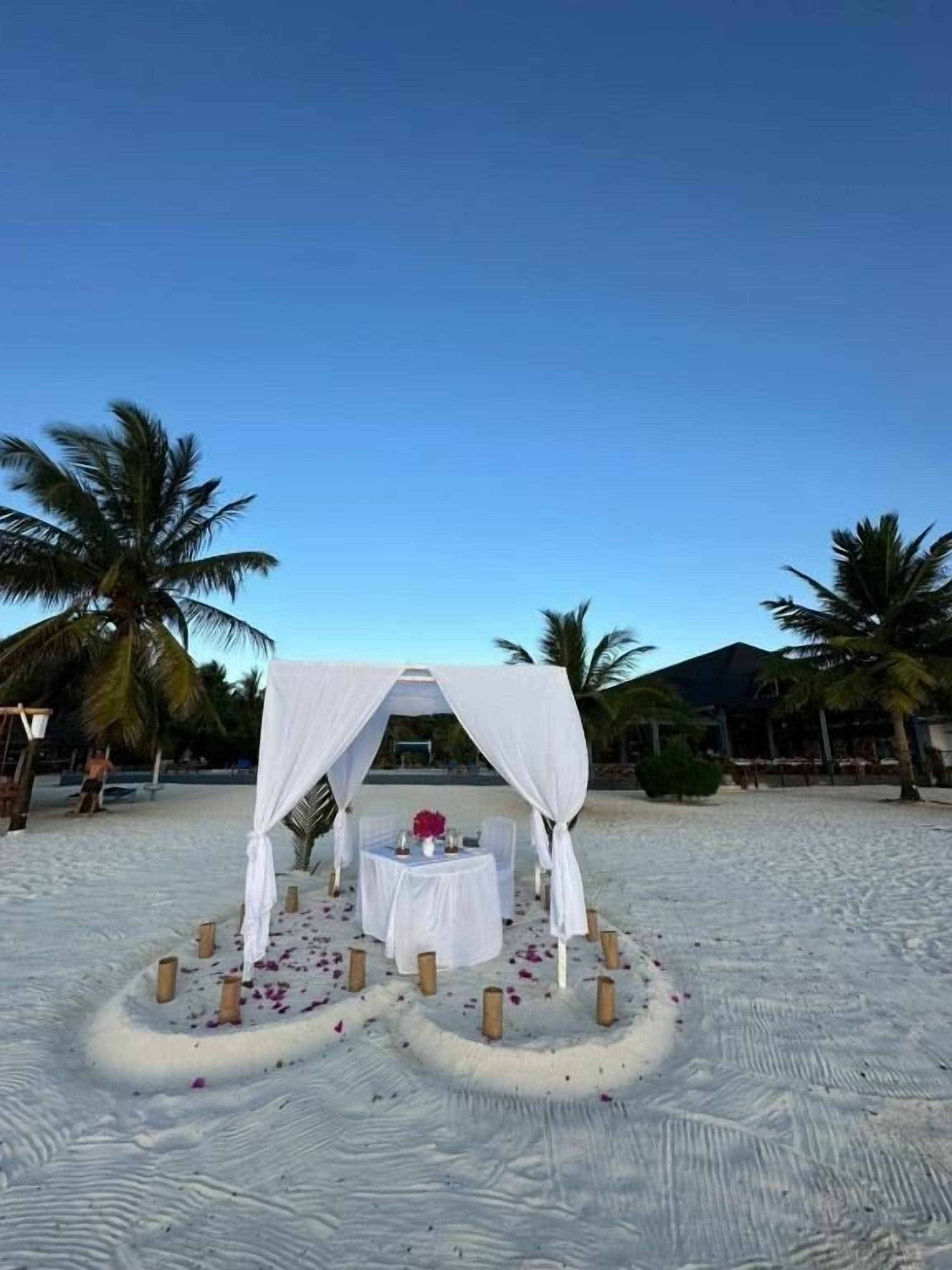 A beach wedding setup with a canopy, a table with a vase, and scattered flower petals.