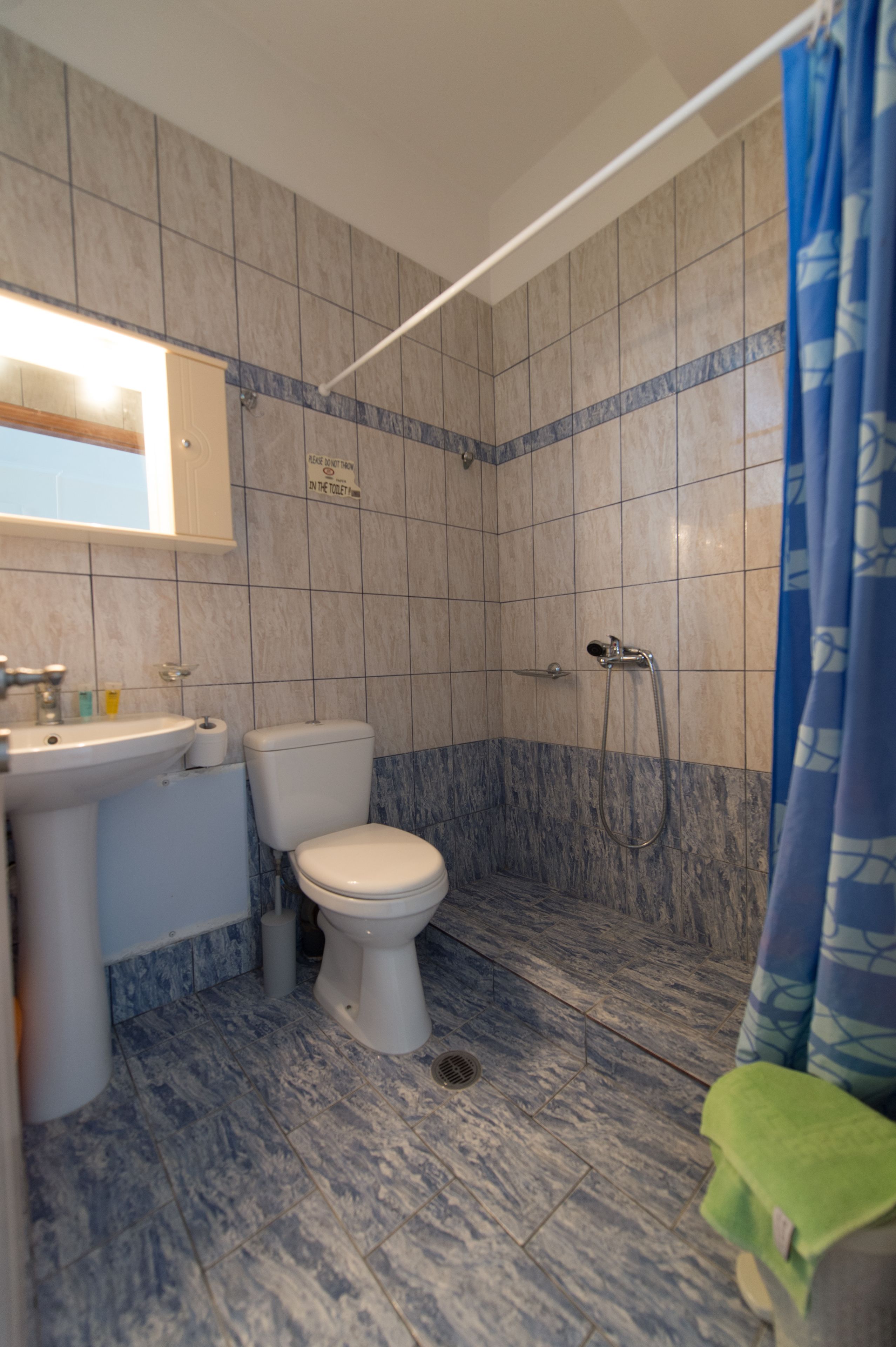 Une salle de bain avec des toilettes, un lavabo et une douche.