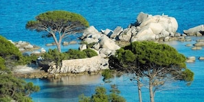 A coastal landscape with rocky outcrops and dense greenery. - Grand Hôtel de Cala Rossa (Lecci)