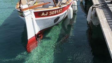 Naik kapal