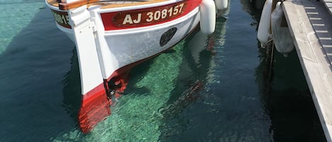 Paseos en bote