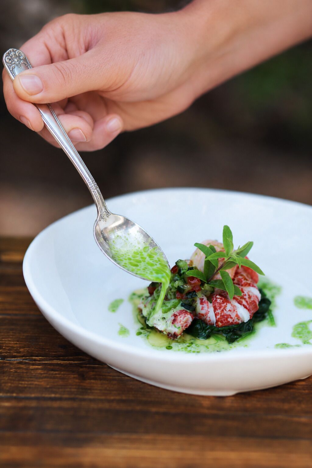 A hand holding a spoon over a plate with a seafood dish, garnished with green leaves.