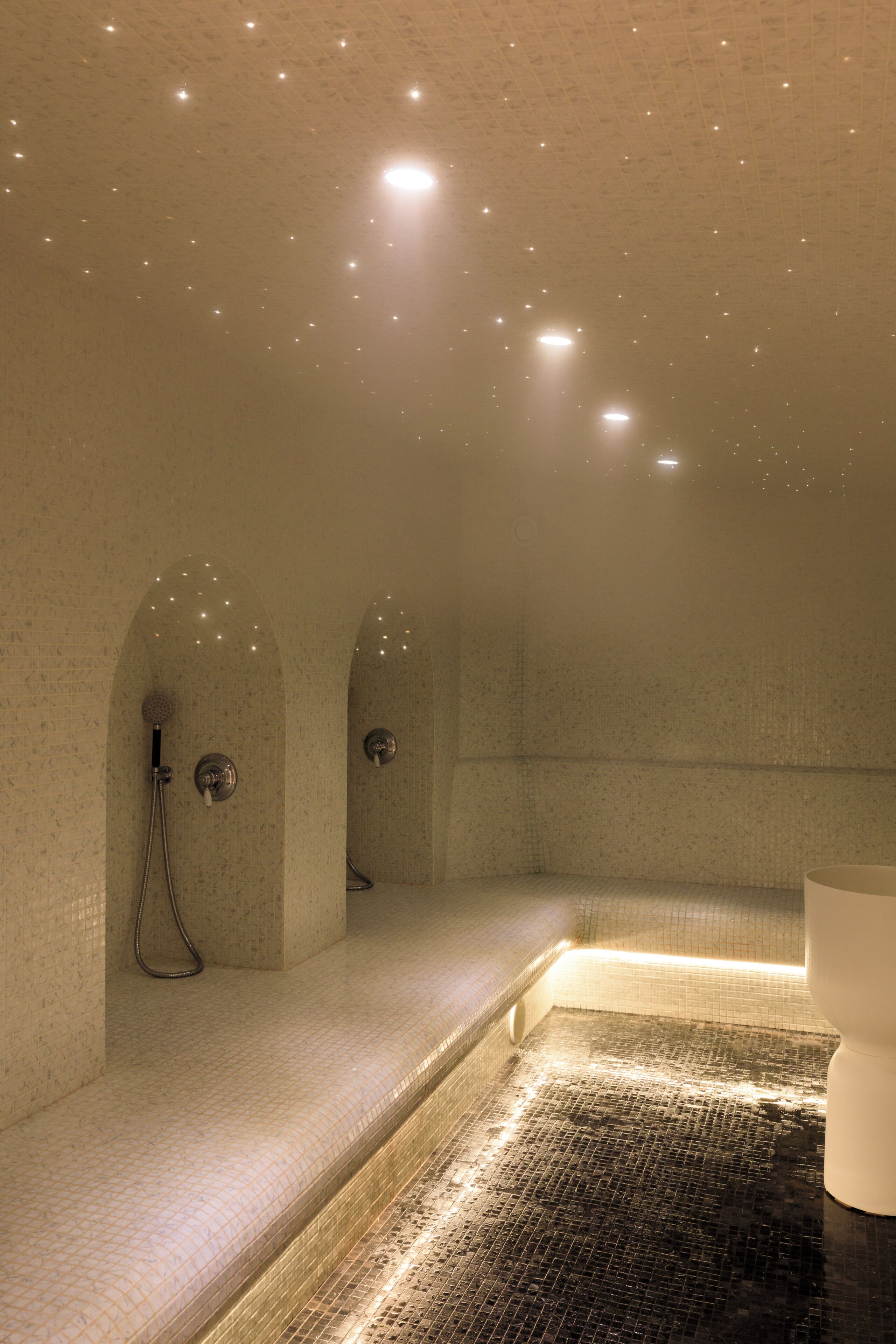 A spa room with a large, rectangular hot tub, a shower area, and a wall-mounted sauna.