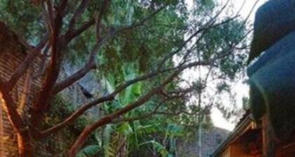 Colonia Suite Apartments