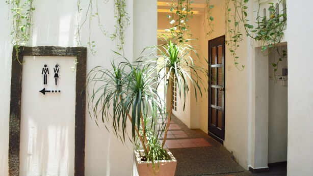 Un couloir orné de plantes suspendues, une porte dotée d’un panneau en verre et un panneau indicateur avec des flèches directionnelles.
