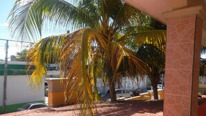 Studio | View from room