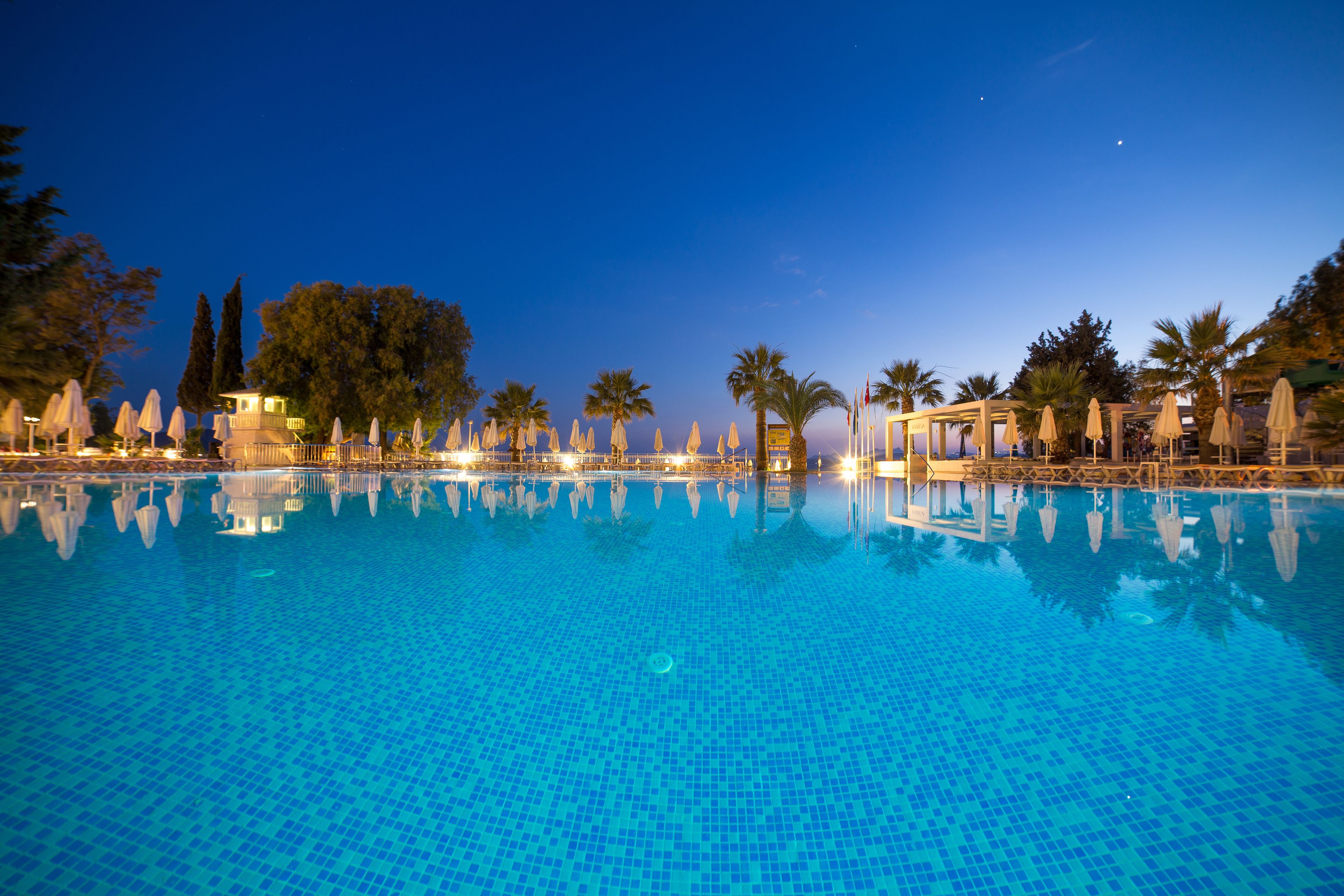 A swimming pool with clear blue water, surrounded by palm trees and umbrellas, reflecting the pool's edges.
