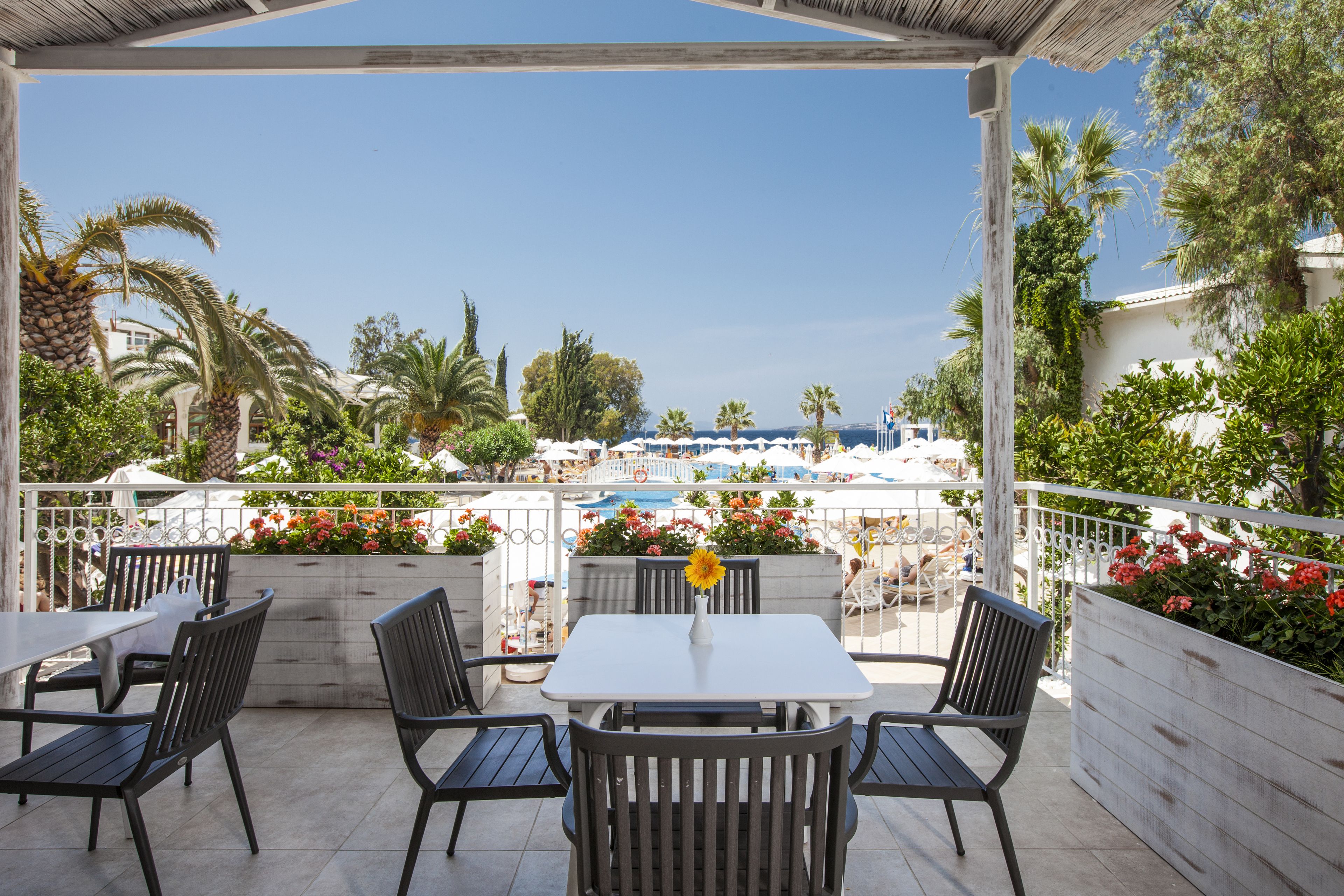 4 restaurants, spécialités Cuisine à base de fruits de mer