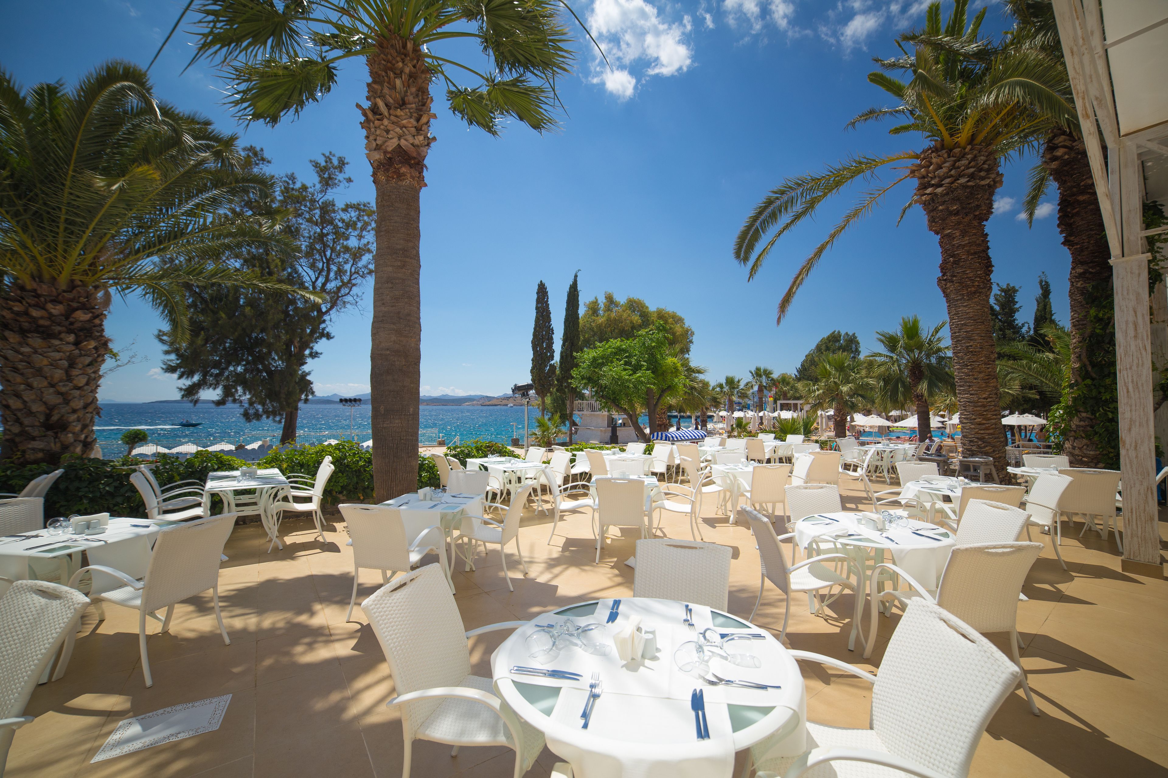 An outdoor dining area with white tables and chairs, palm trees, and a view of the sea.