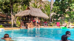 Un área de piscina con una estructura de techo de paja, sillas de descanso y palmeras.