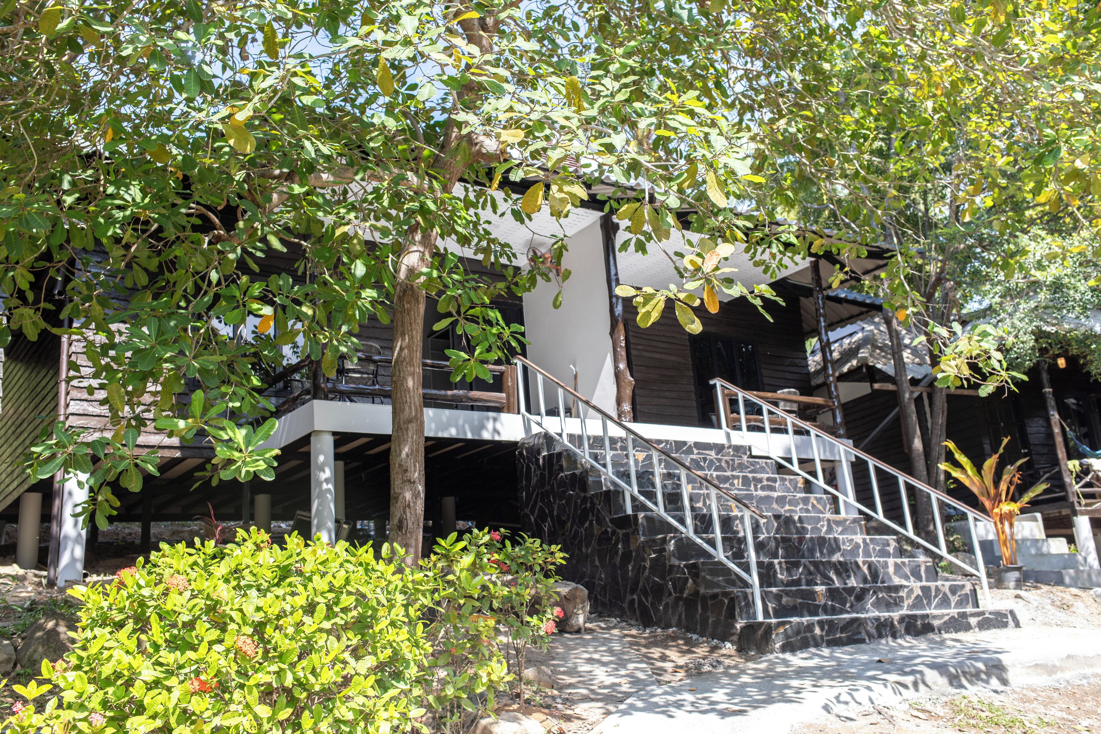 A staircase leading to a building with a stone facade, surrounded by greenery and trees.