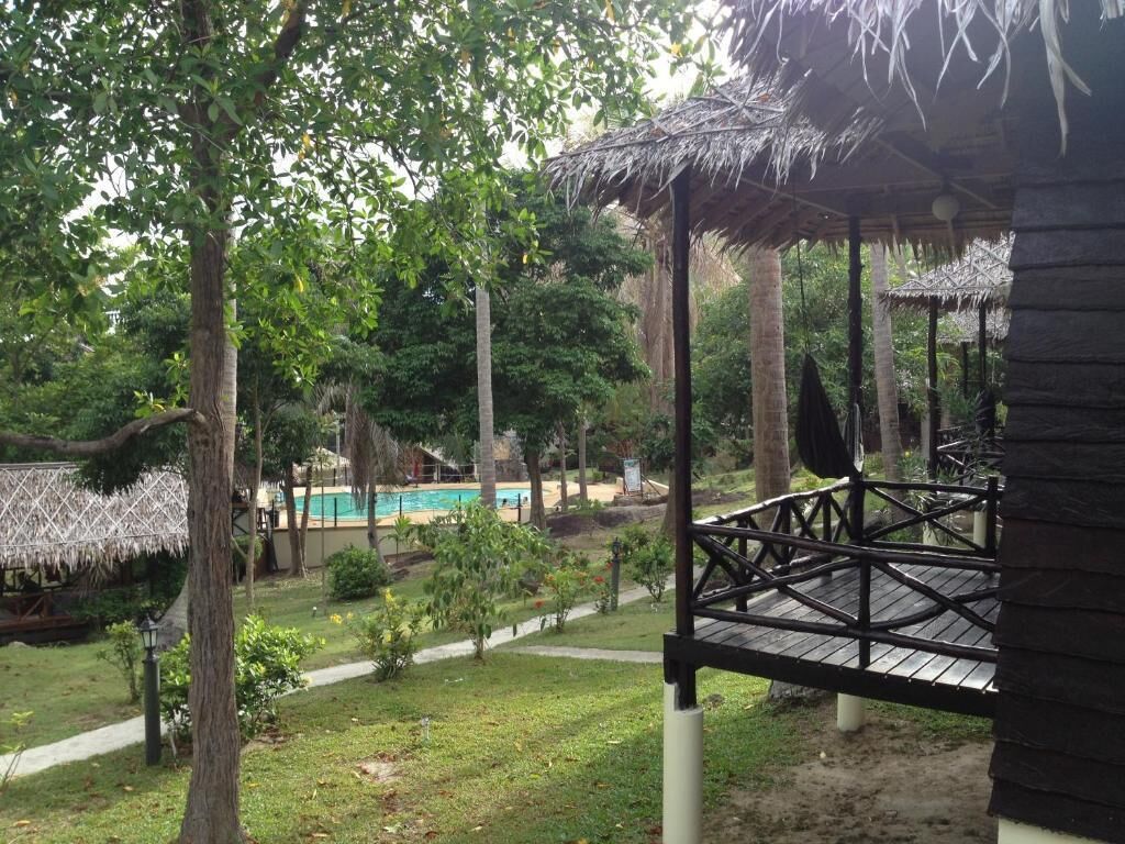 Un espacio al aire libre cubierto con una piscina, rodeado de árboles y una estructura con techo de paja.