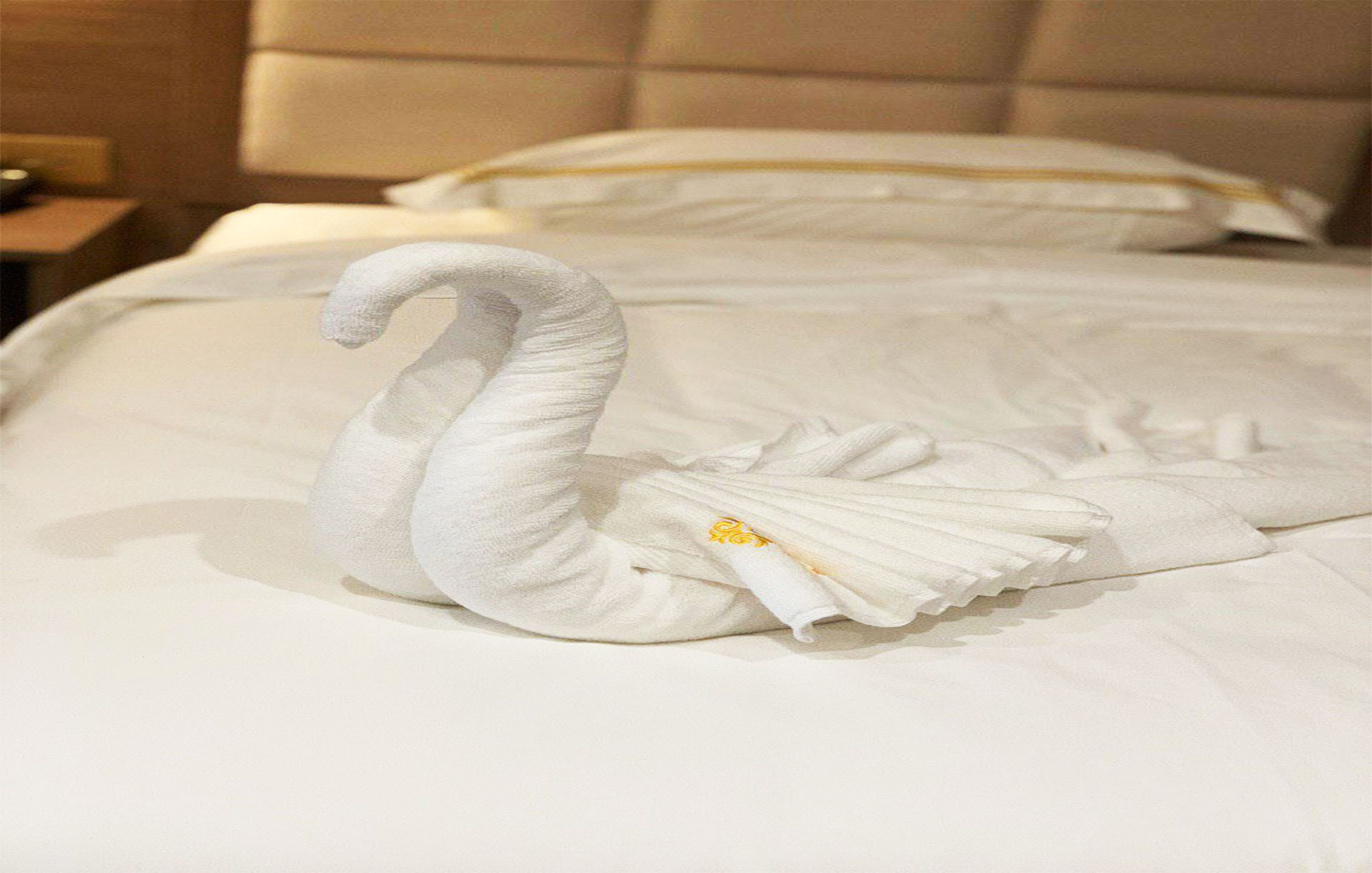 superior double room | view from room