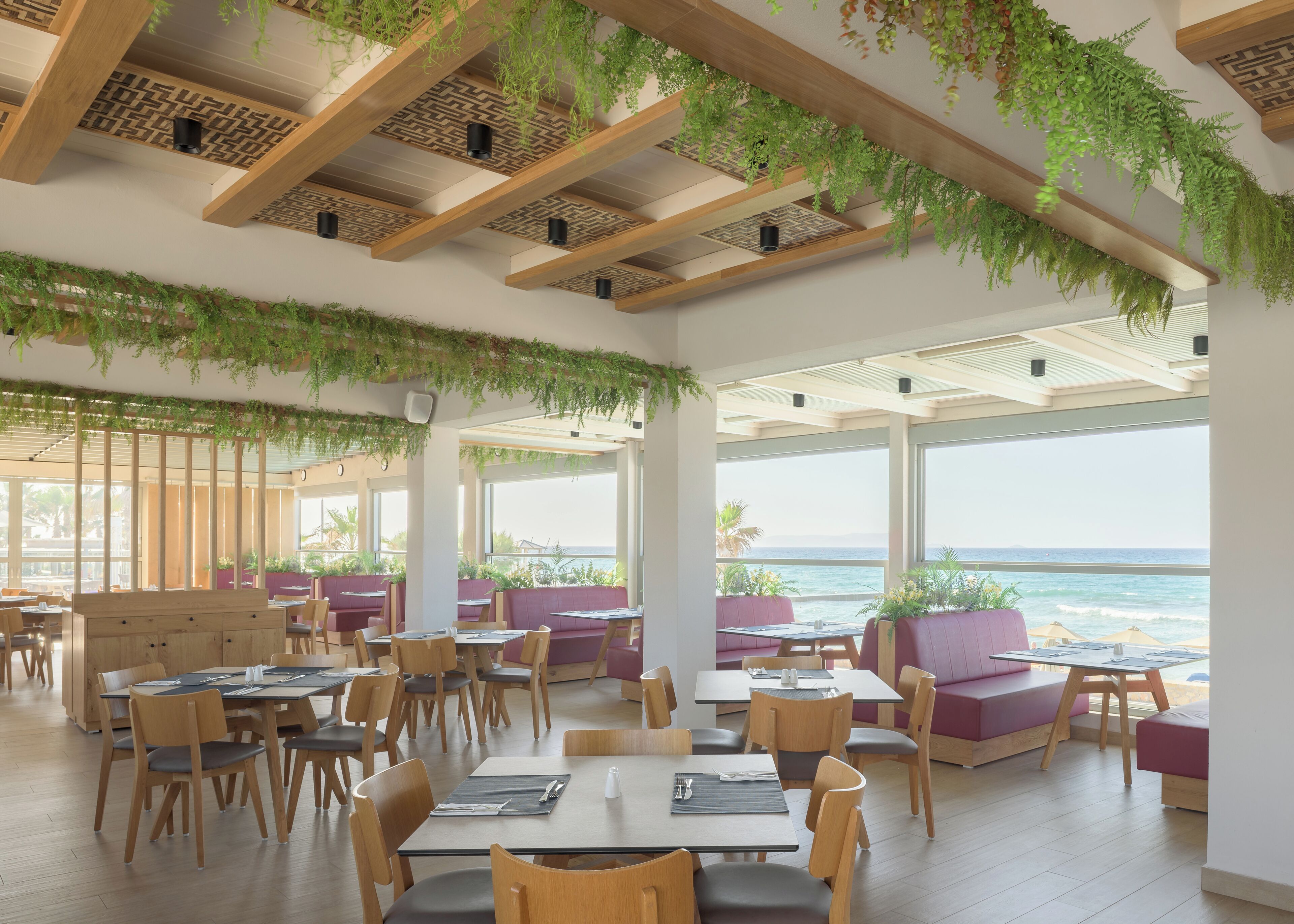 A restaurant with wooden tables and chairs, green plants hanging from the ceiling, and large windows overlooking the ocean.