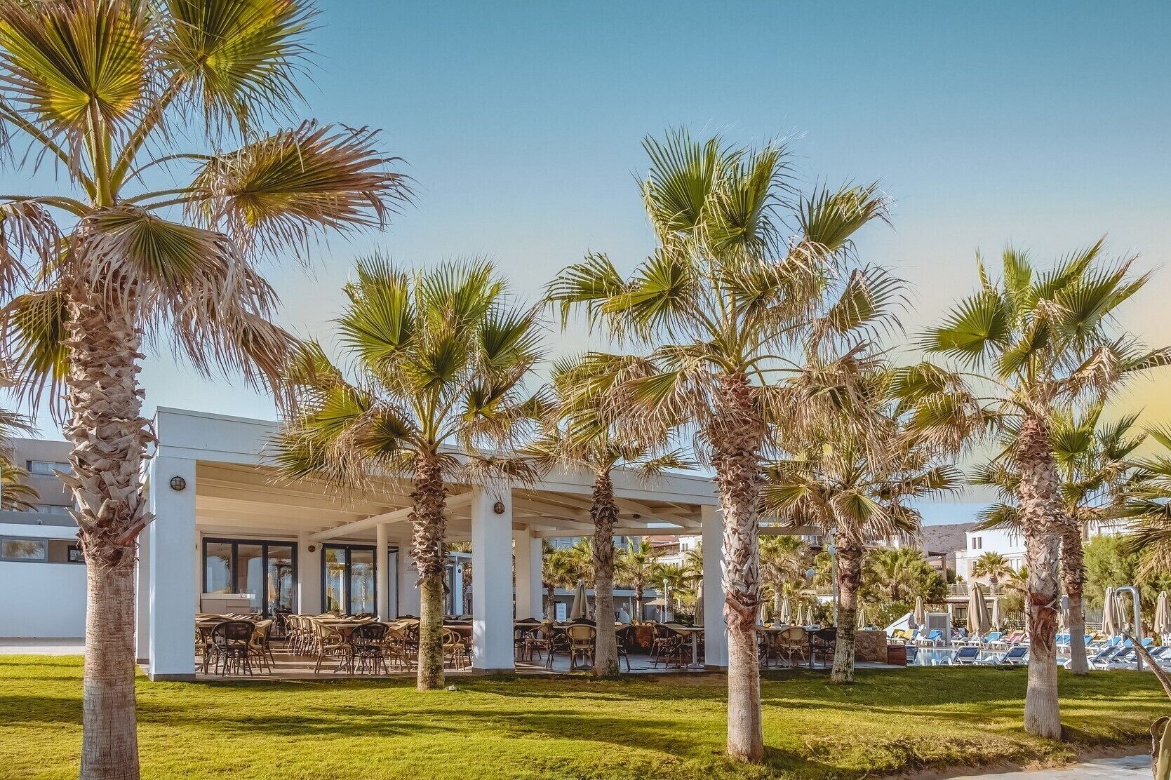 A resort with outdoor seating, palm trees, and a covered area.