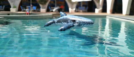 Alberca al aire libre y camastros