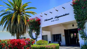 Entrada de hotel con una palmera y flores coloridas.