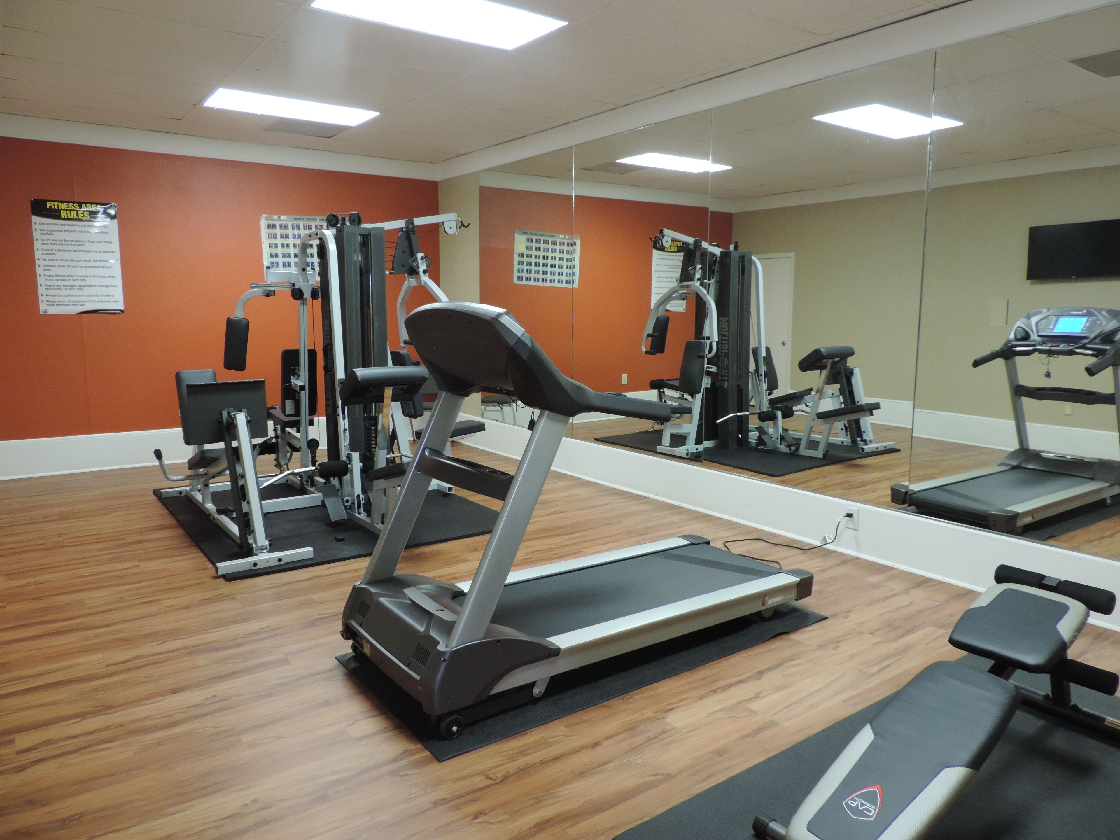 Une salle de sport équipée de tapis de course, d’appareils de musculation et de tapis de sol pour les exercices.