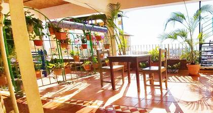 Paloma Del Mar