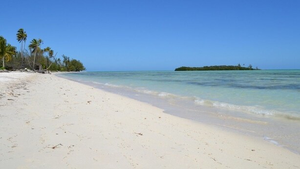 Une plage de sable blanc bordée d’une eau d’un bleu cristallin. On y aperçoit des palmiers et, au loin, une petite île.