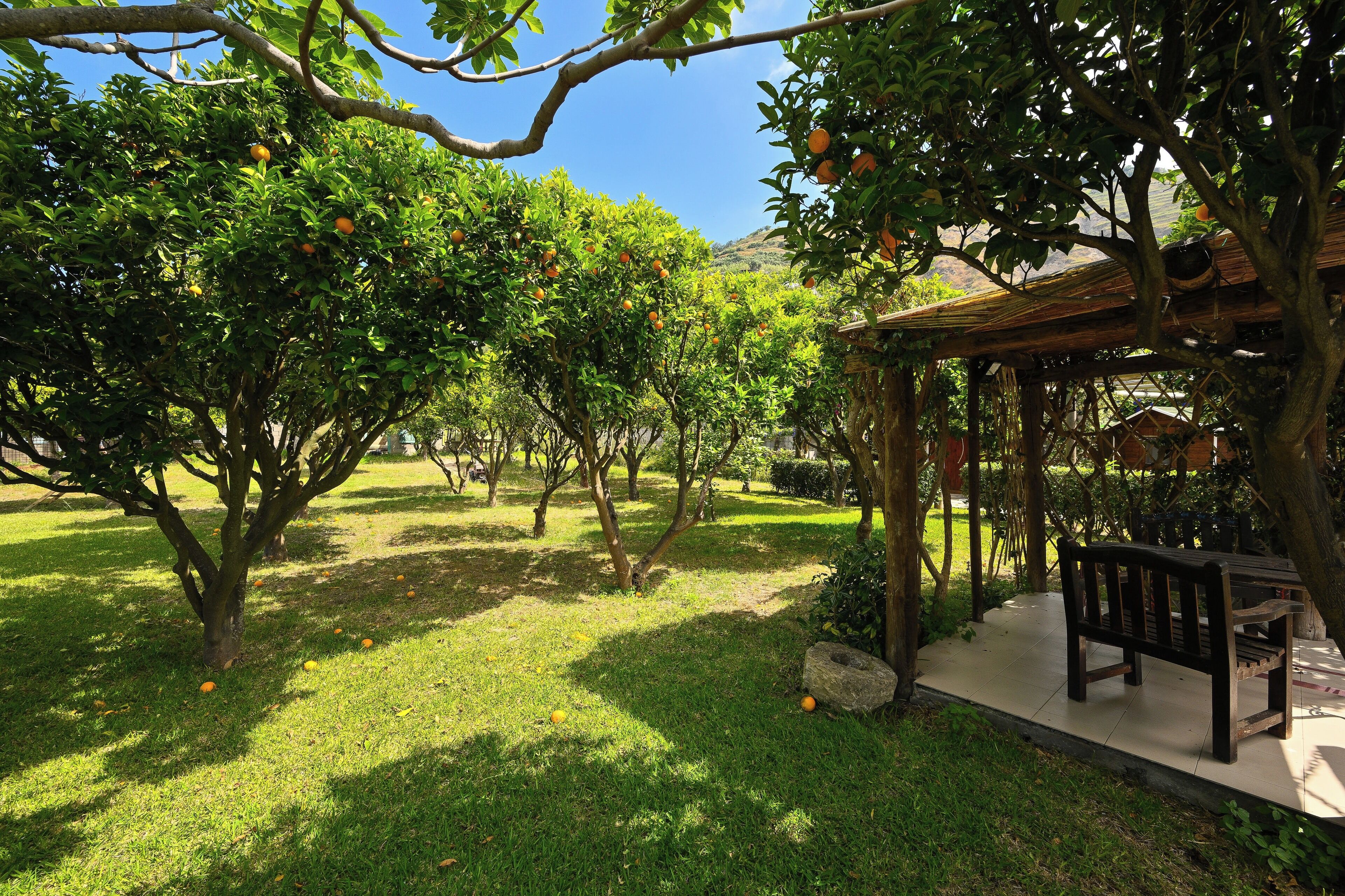 Photo - Tenuta Villa Tara