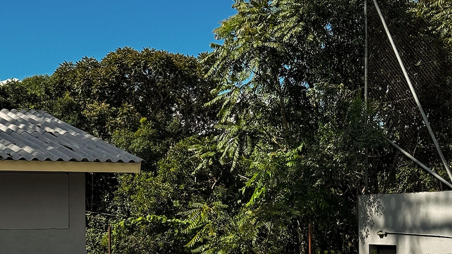 Letto Hotel Flores da Cunha