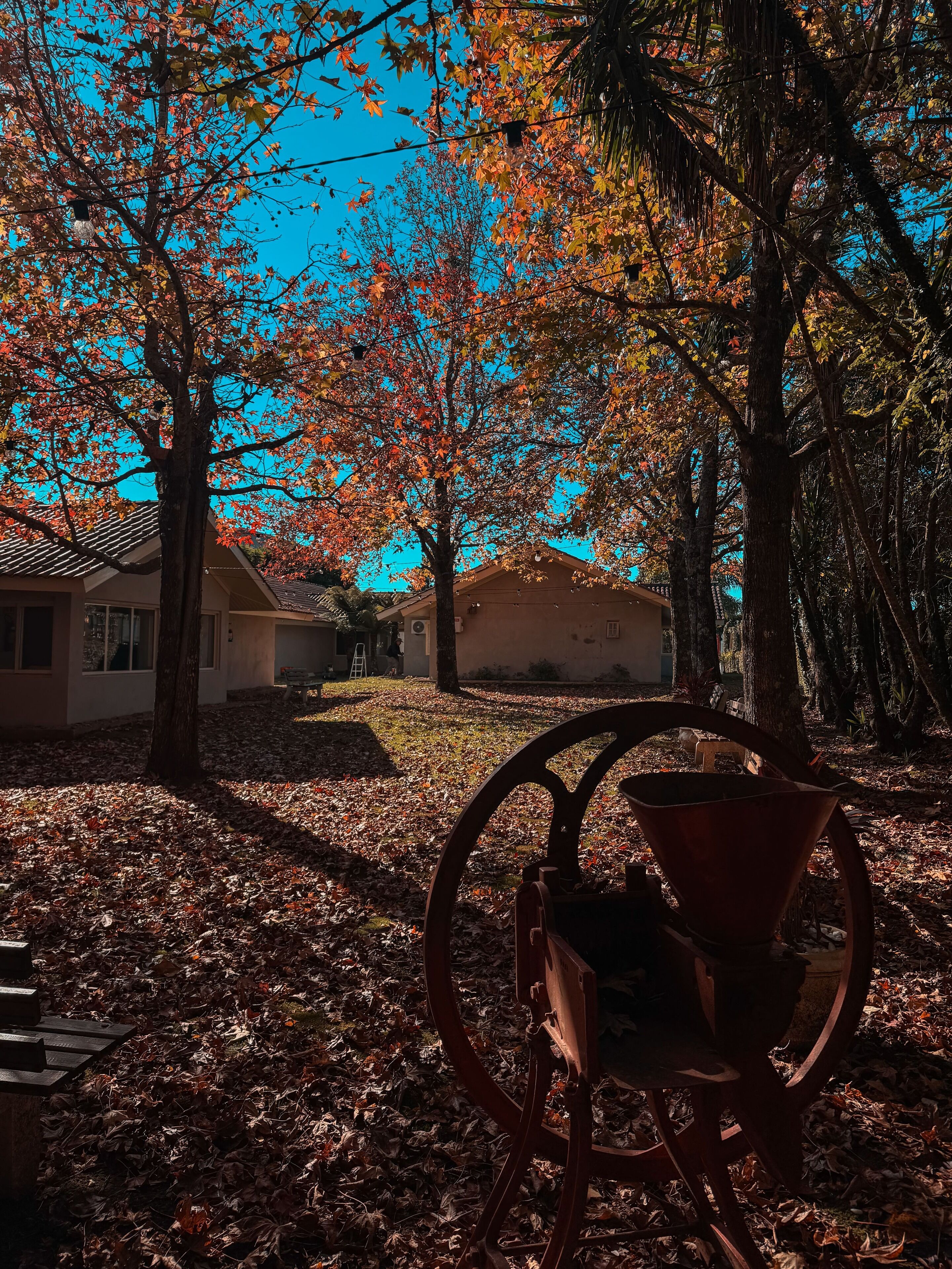 Un parc avec un banc en métal, des arbres aux feuilles d’automne et un bâtiment en arrière-plan.