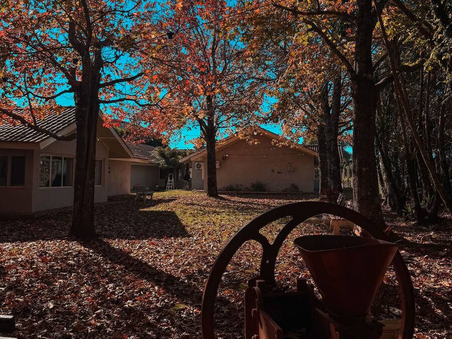 Un parc avec un banc en métal, des arbres aux feuilles d’automne et un bâtiment en arrière-plan.