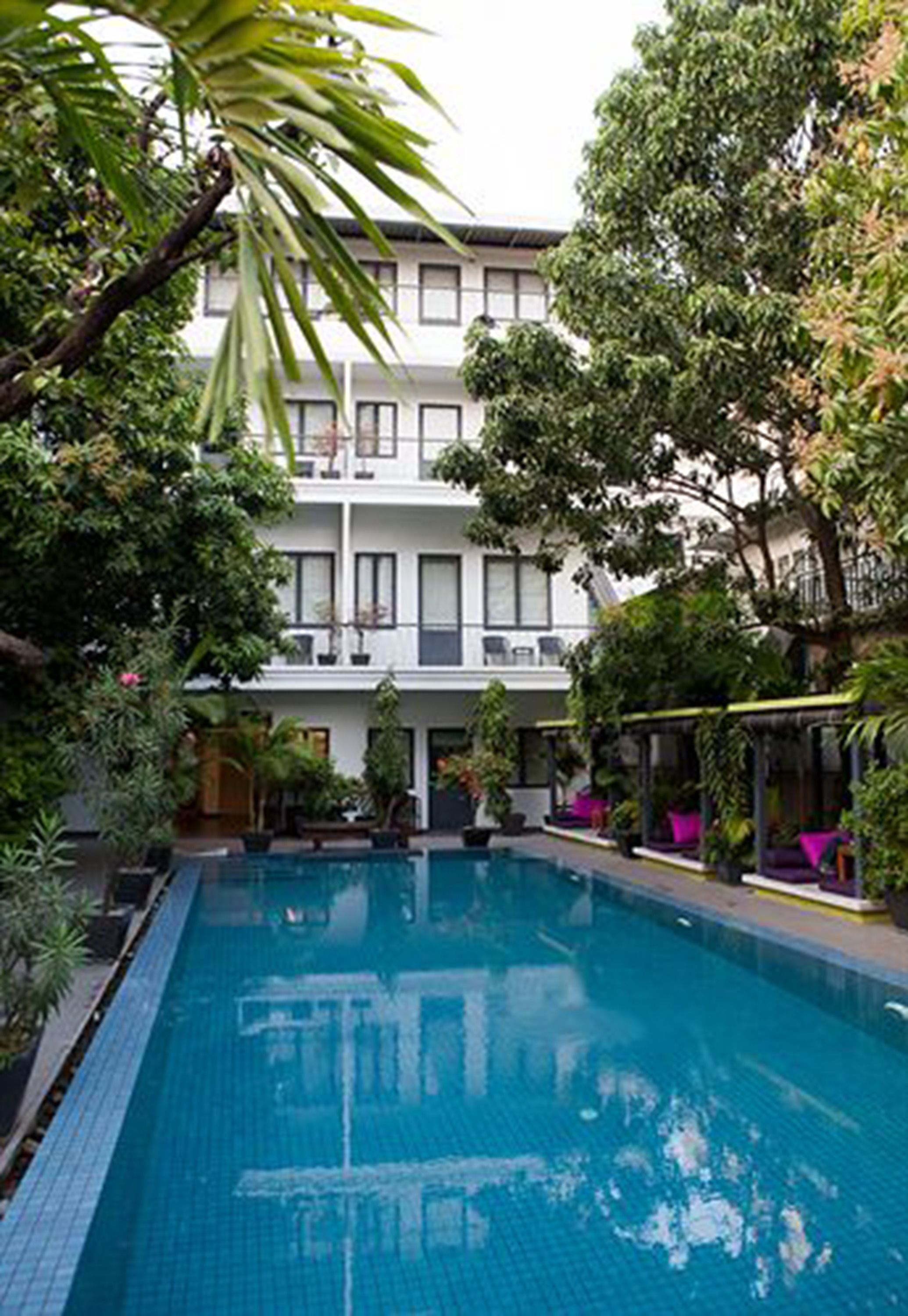 outdoor pool, pool loungers