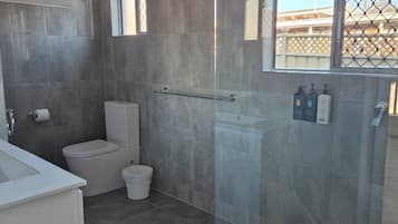 A modern bathroom with a glass shower enclosure, a toilet, and a sink.