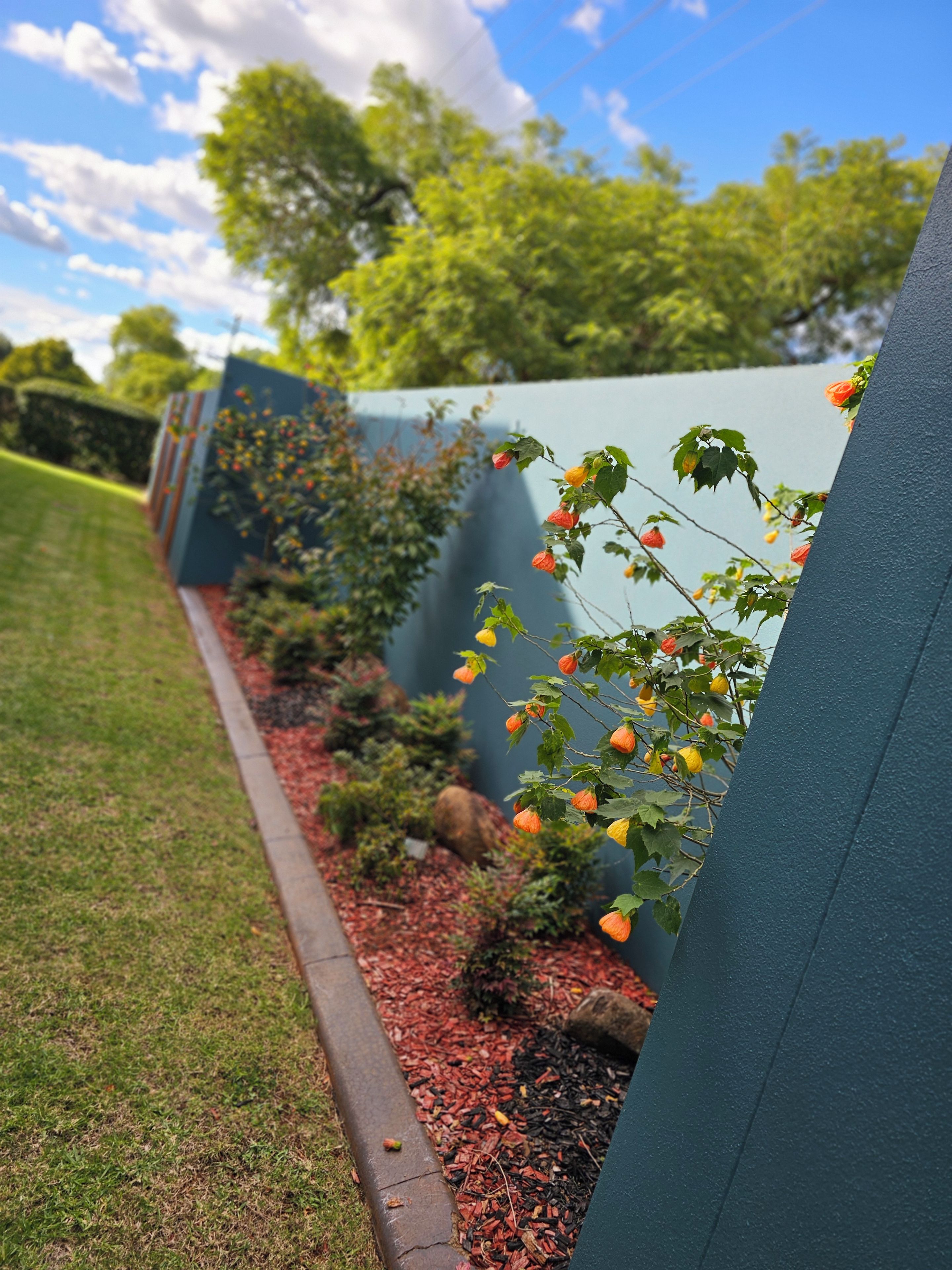 A garden with a hedge, a pathway, and a tree.