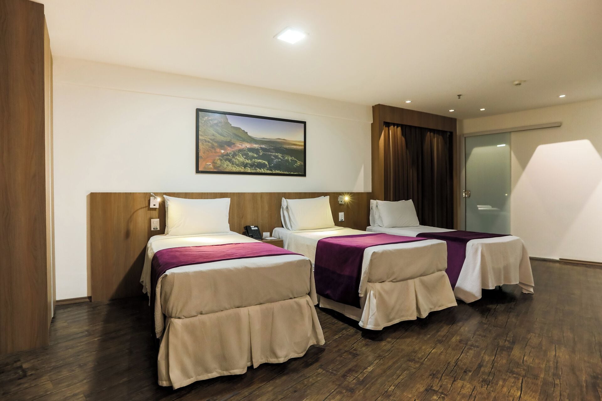 Hypo-allergenic bedding, minibar, free WiFi, bed sheets