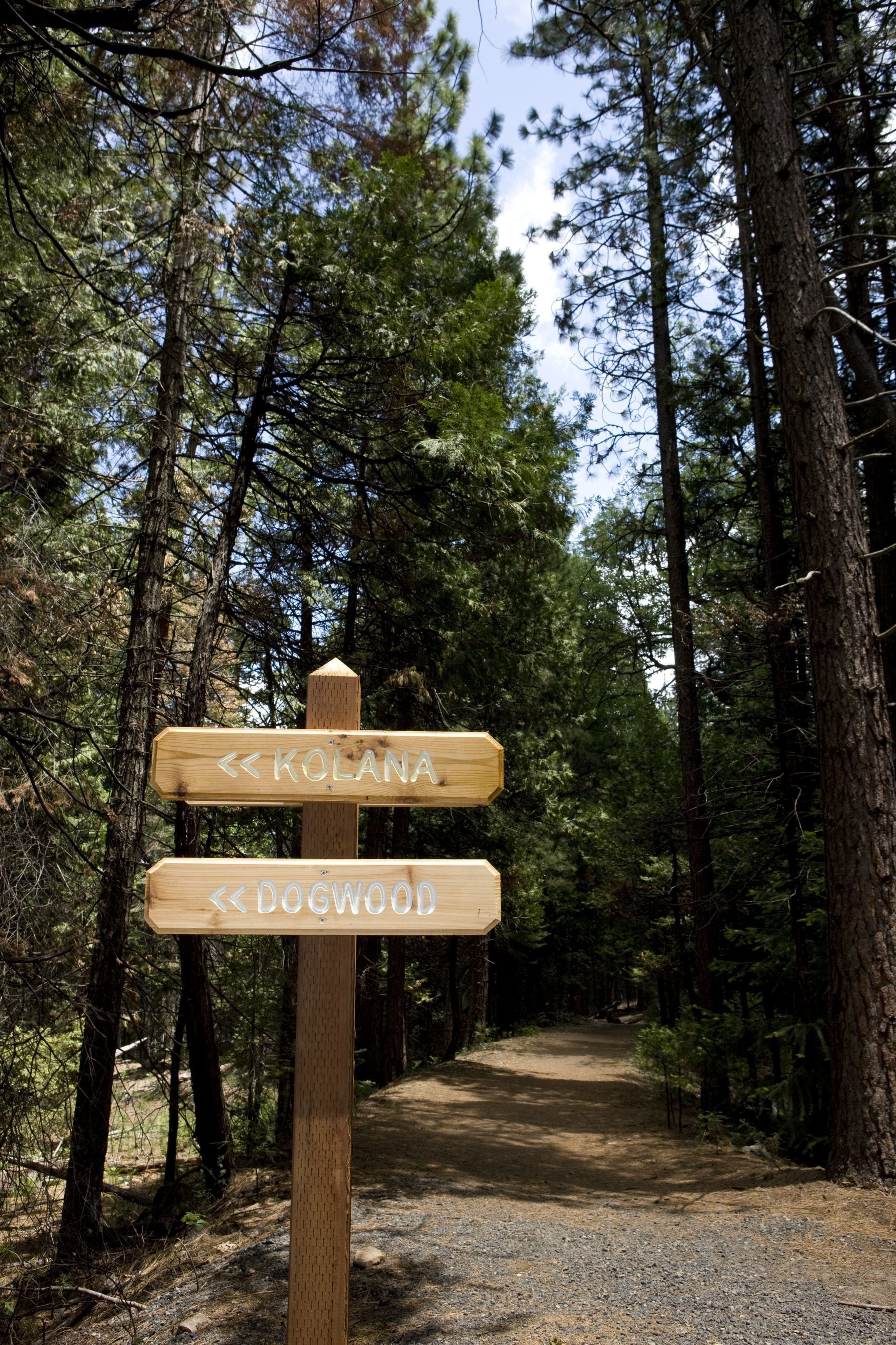 A wooden signpost with directions to 'KOLANA' and 'DOGWOOD' in a forested area.