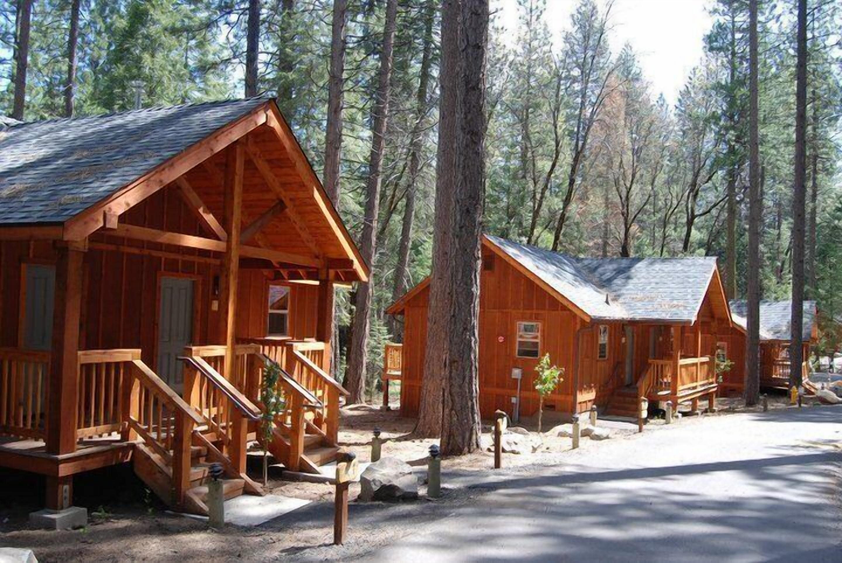 A row of wooden cabins with a porch and steps, surrounded by tall trees.