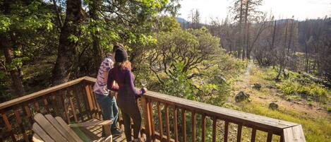 A wooden deck with a chair and a railing overlooking a forested area.