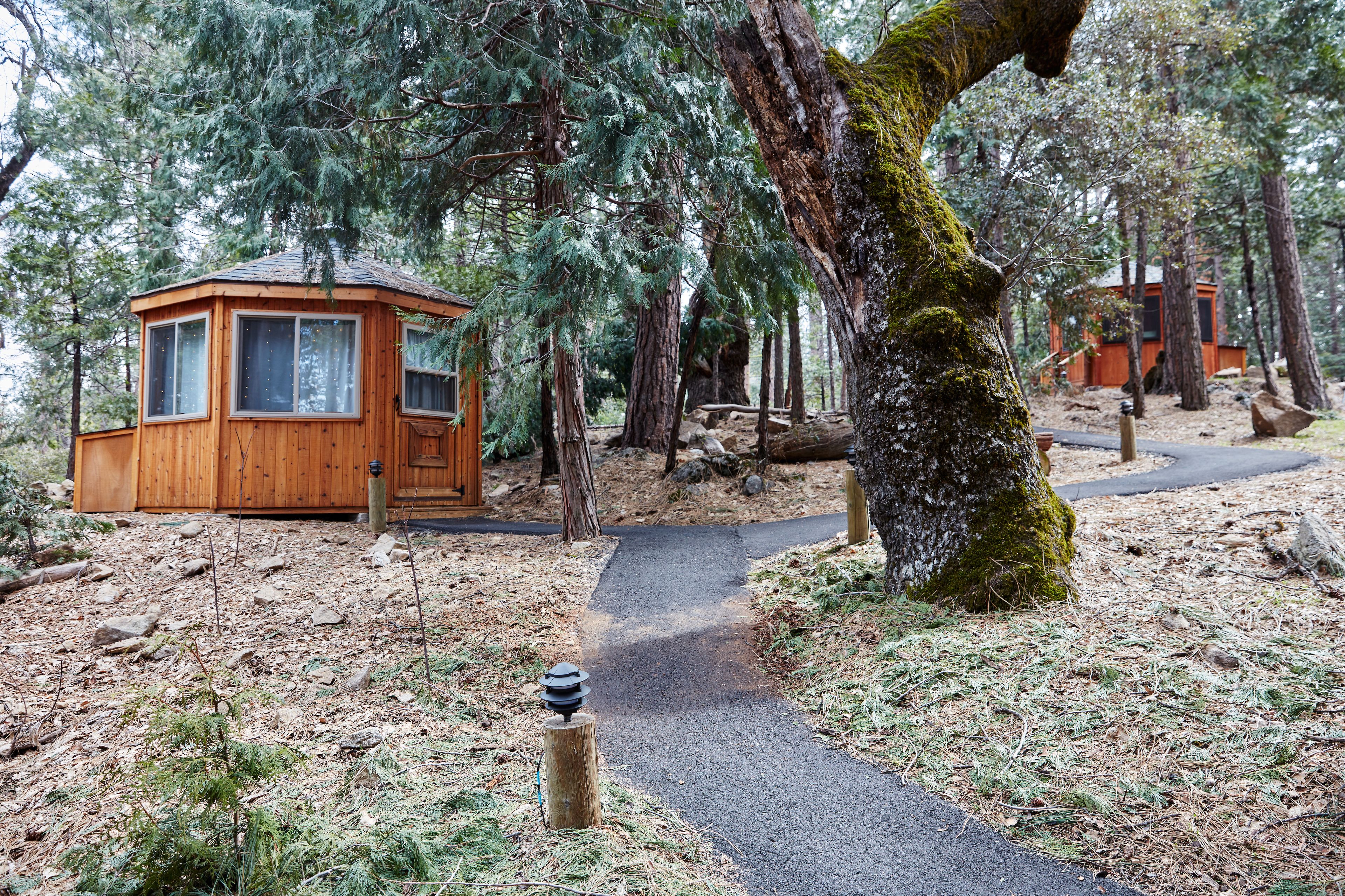 Una cabaña de madera con un frente con ventanas, rodeada por un bosque con un sendero de tierra que lleva a ella.