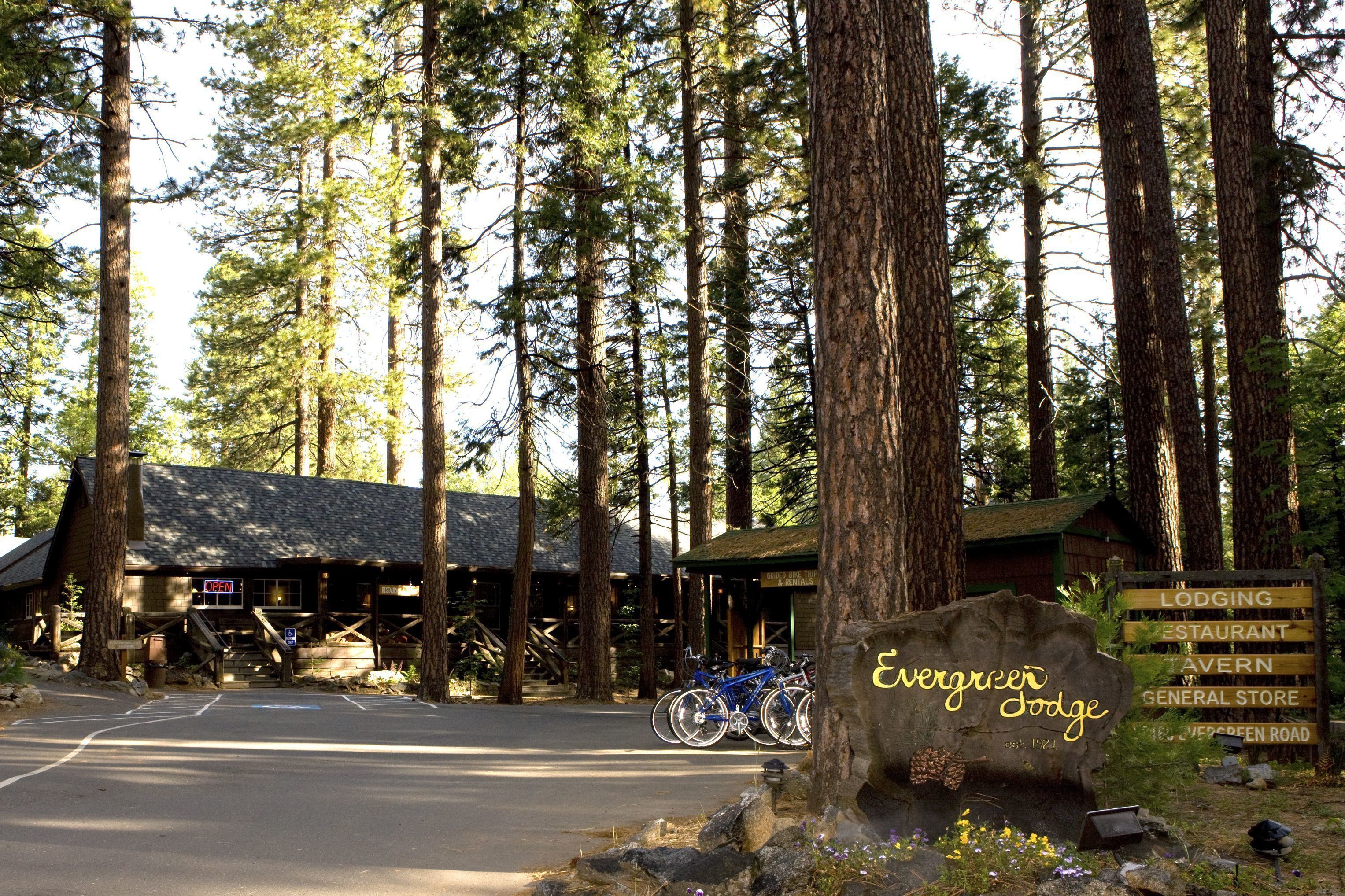 A forested area with a building labeled 'Evergreen Lodge' and a sign indicating lodging, restaurant, and general store.