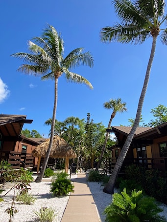 Garden. Kona Kai Motel