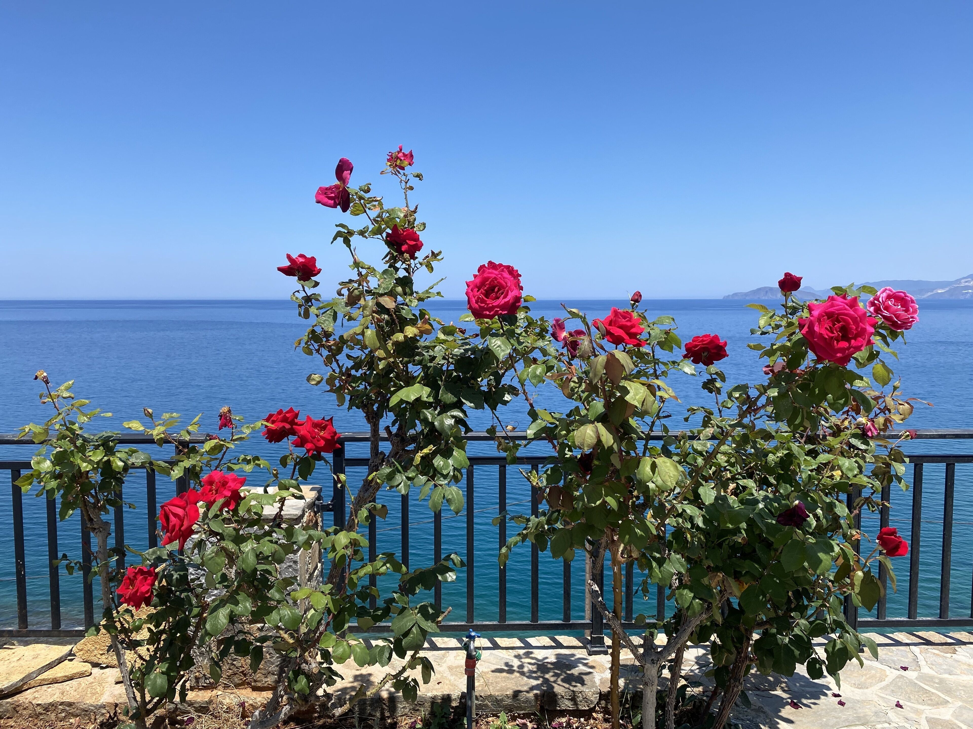 Foto - Ostria Apartments