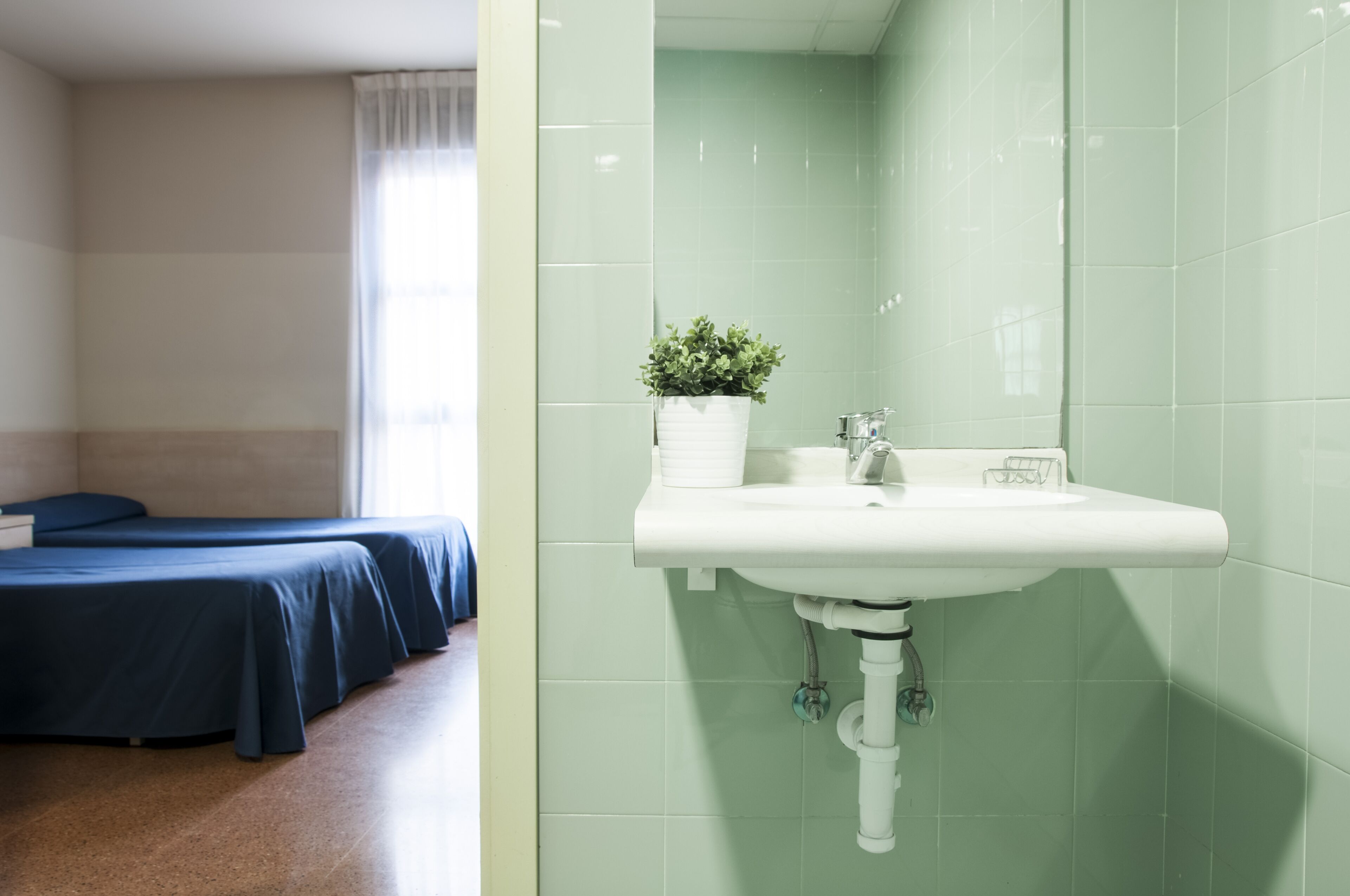 A hotel room with two beds, a sink, and a potted plant.