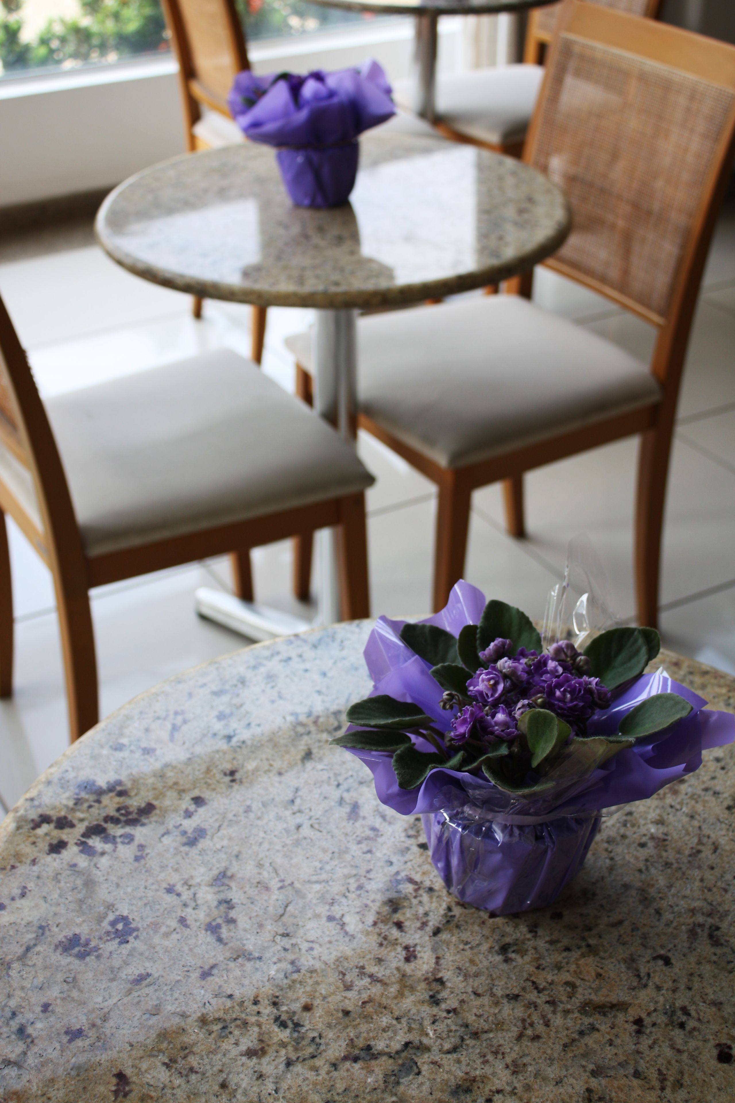 Foto - Rede Andrade Bahia