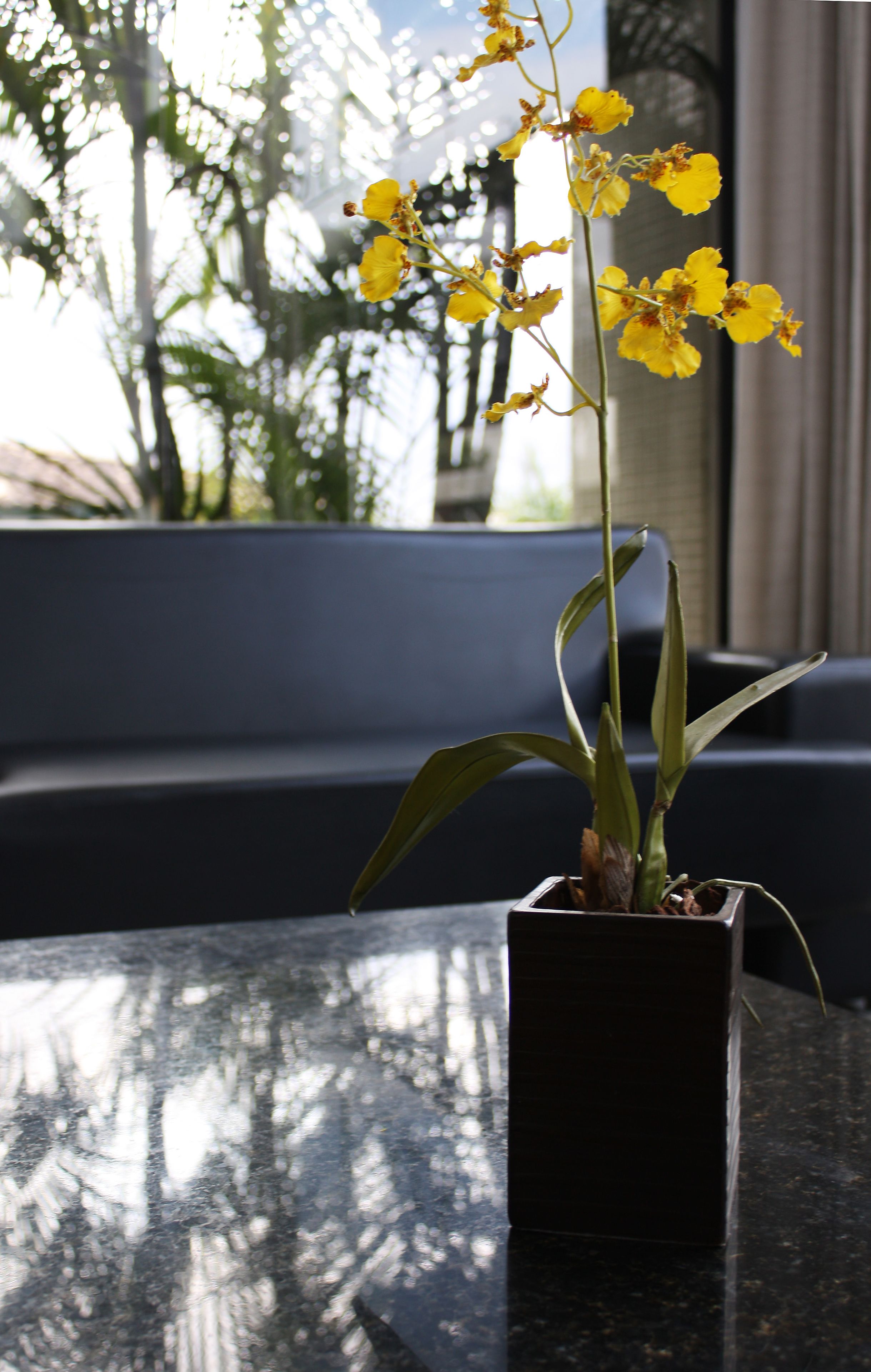 Foto - Rede Andrade Bahia