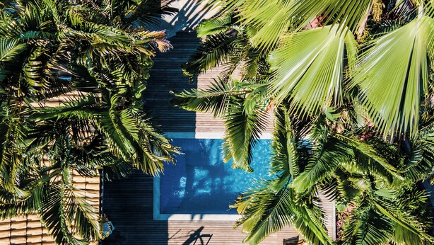 Vista aérea de una zona de piscina con cubierta de madera, sillas de descanso y palmeras.
