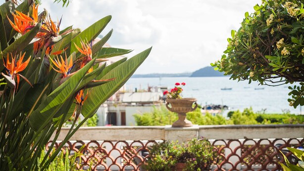 A balcony with a view of the sea, potted plants, and a decorative fence. - Villa Panoramica (Ischia)