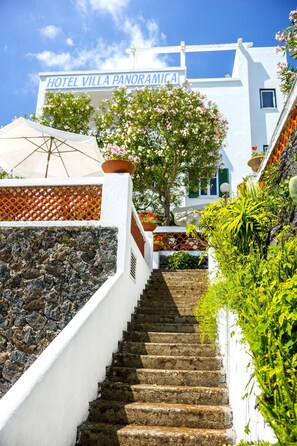 Garden - Villa Panoramica (Ischia)