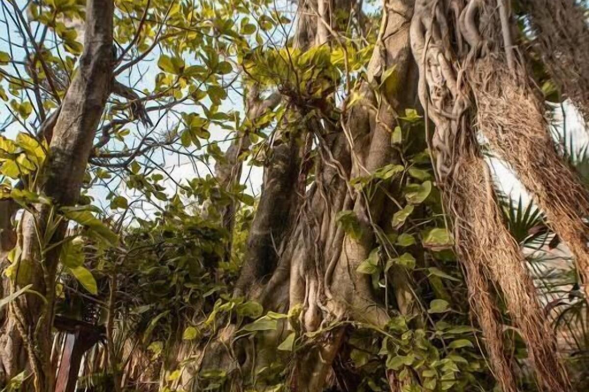 스탠다드 캐빈, 더블침대 1개 | 미니바, 객실 내 금고, 무료 WiFi, 침대 시트