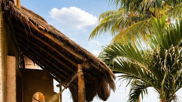 A beach house with a thatched roof, a view of the ocean, and tropical vegetation. - Hotel Casa Colibri (Playa del Carmen)