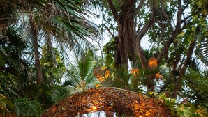 A pathway leading through a tropical garden with a wooden archway adorned with hanging lights. - Hotel Casa Colibri (Playa del Carmen)