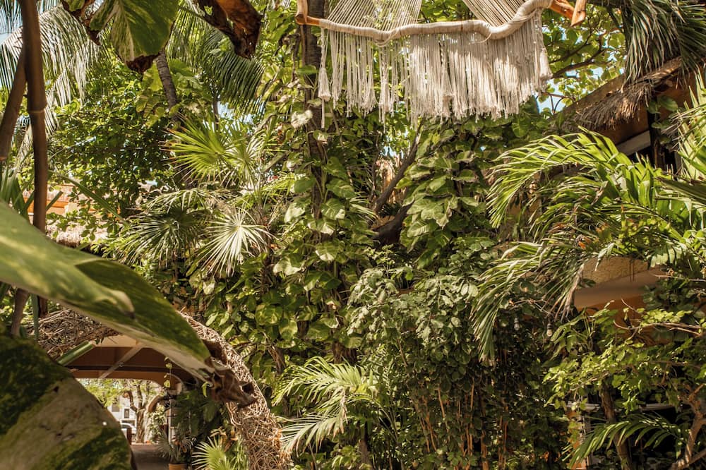 Hotel Casa Colibri