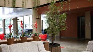A lobby with seating, potted plants, and a large window. - Lanville Athenee (Foz do Iguacu)